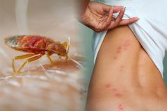 2021_7_2_18_17_27_537