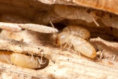 file_1629271635890_6346