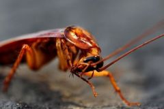 file_1663072975302_7542